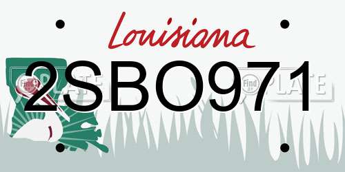 2SBO971 Louisiana License Plate