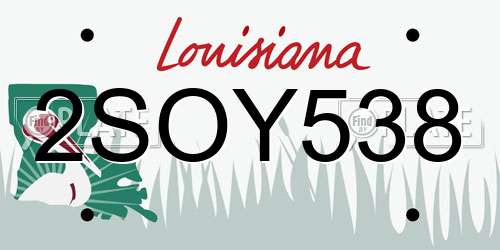 2SOY538 Louisiana License Plate