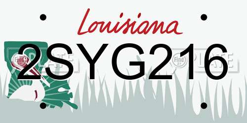 2SYG216 Louisiana License Plate
