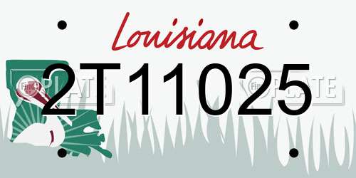 2T11025 Louisiana License Plate
