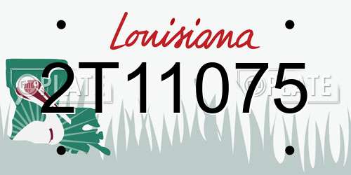 2T11075 Louisiana License Plate
