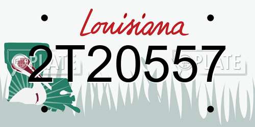 2T20557 Louisiana License Plate