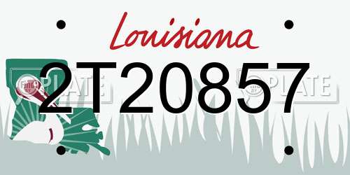 2T20857 Louisiana License Plate