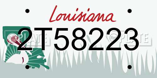 2T58223 Louisiana License Plate