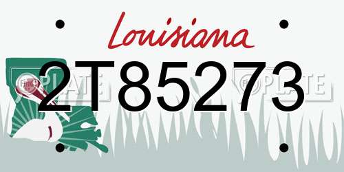 2T85273 Louisiana License Plate