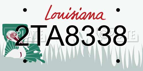 2TA8338 Louisiana License Plate