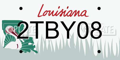 2TBY08 Louisiana License Plate