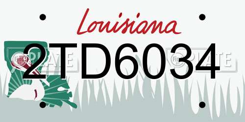 2TD6034 Louisiana License Plate
