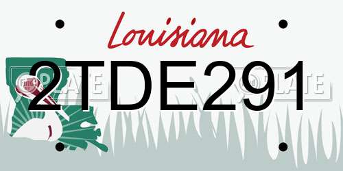 2TDE291 Louisiana License Plate