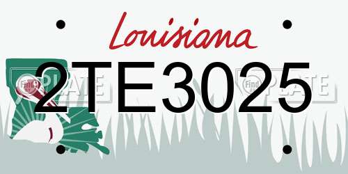 2TE3025 Louisiana License Plate