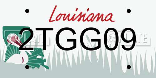 2TGG09 Louisiana License Plate