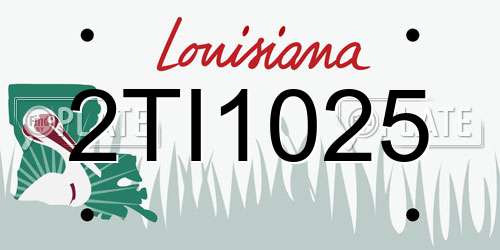 2TI1025 Louisiana License Plate