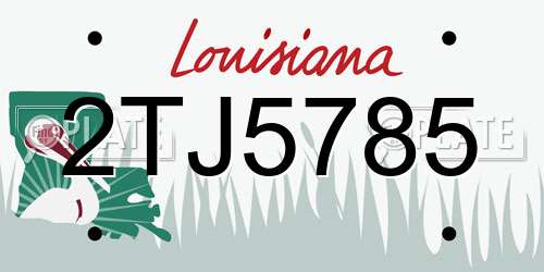 2TJ5785 Louisiana License Plate