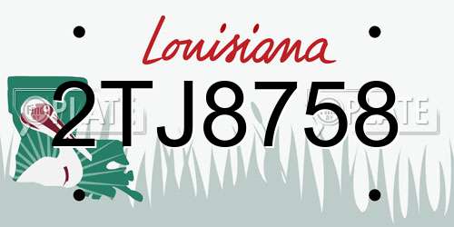 2TJ8758 Louisiana License Plate