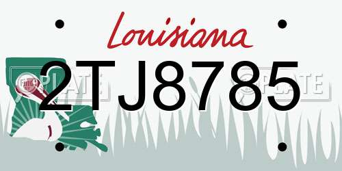 2TJ8785 Louisiana License Plate