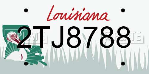 2TJ8788 Louisiana License Plate