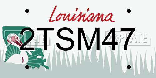 2TSM47 Louisiana License Plate