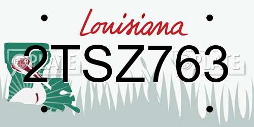 2TSZ763 Louisiana License Plate