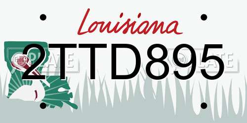 2TTD895 Louisiana License Plate