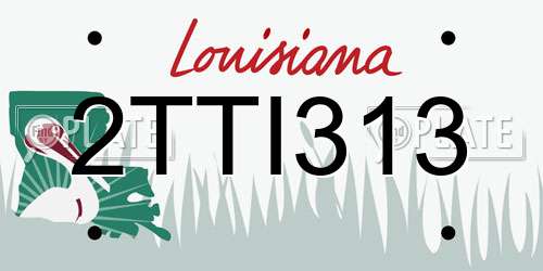 2TTI313 Louisiana License Plate