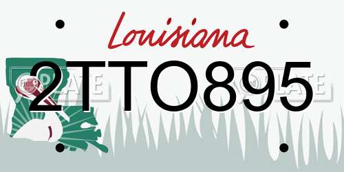 2TTO895 Louisiana License Plate