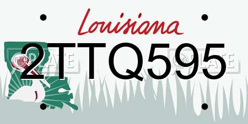 2TTQ595 Louisiana License Plate