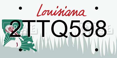 2TTQ598 Louisiana License Plate