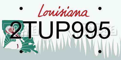 2TUP995 Louisiana License Plate