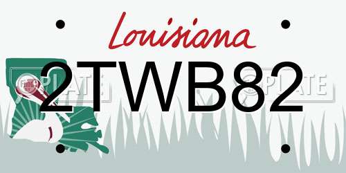 2TWB82 Louisiana License Plate