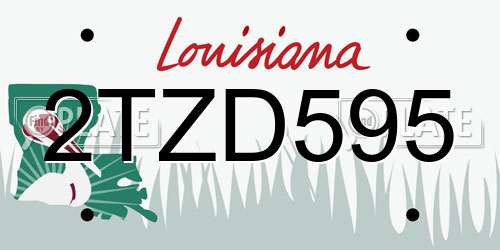 2TZD595 Louisiana License Plate