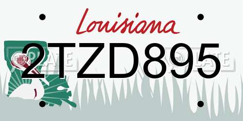 2TZD895 Louisiana License Plate