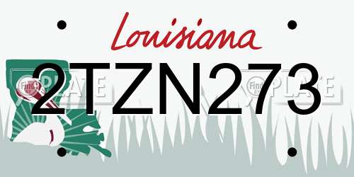 2TZN273 Louisiana License Plate