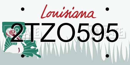 2TZO595 Louisiana License Plate