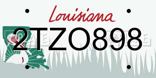 2TZO898 Louisiana License Plate