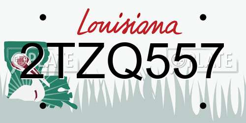 2TZQ557 Louisiana License Plate