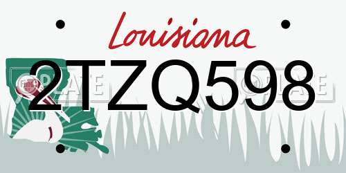 2TZQ598 Louisiana License Plate