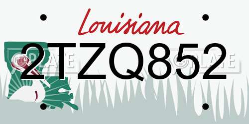 2TZQ852 Louisiana License Plate