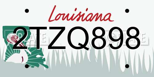 2TZQ898 Louisiana License Plate