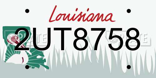 2UT8758 Louisiana License Plate