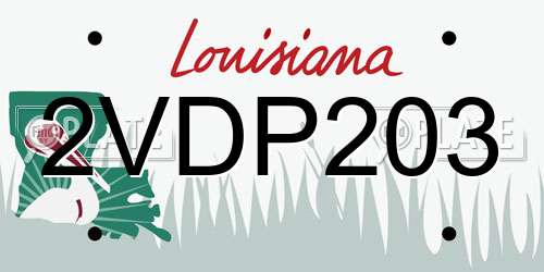 2VDP203 Louisiana License Plate