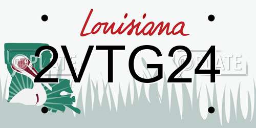 2VTG24 Louisiana License Plate