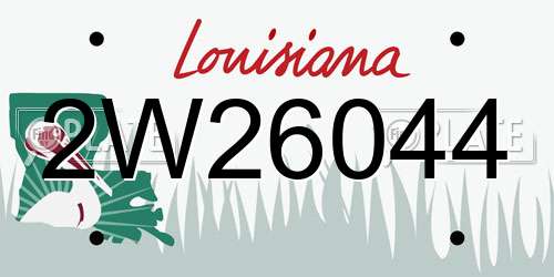 2W26044 Louisiana License Plate