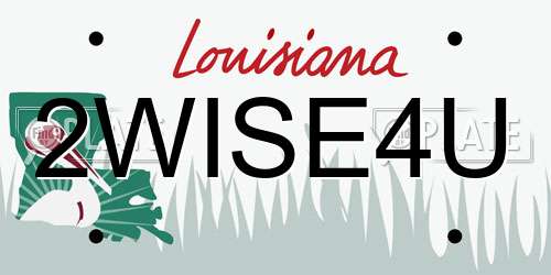 2WISE4U Louisiana License Plate