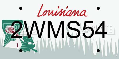 2WMS54 Louisiana License Plate