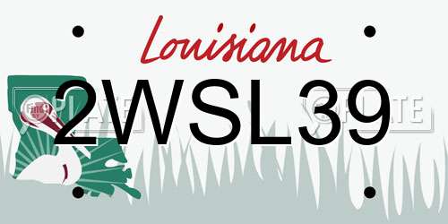 2WSL39 Louisiana License Plate