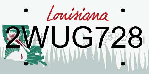 2WUG728 Louisiana License Plate