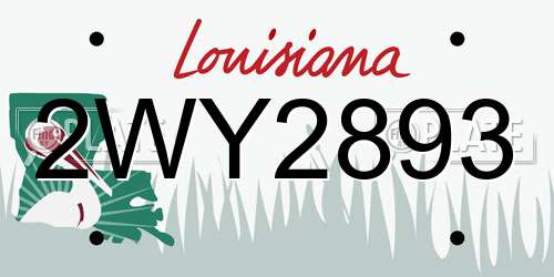 2WY2893 Louisiana License Plate