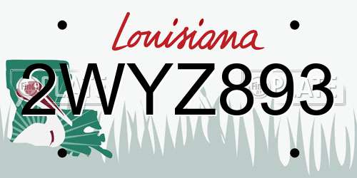 2WYZ893 Louisiana License Plate