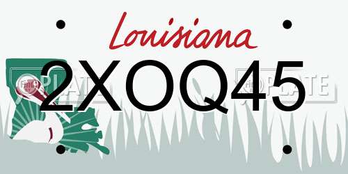 2XOQ45 Louisiana License Plate