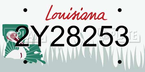 2Y28253 Louisiana License Plate